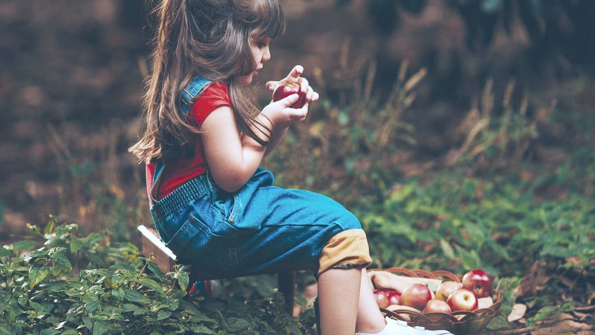 Las frutas aportan sabores, nutrientes y frescura a nuestro organismo