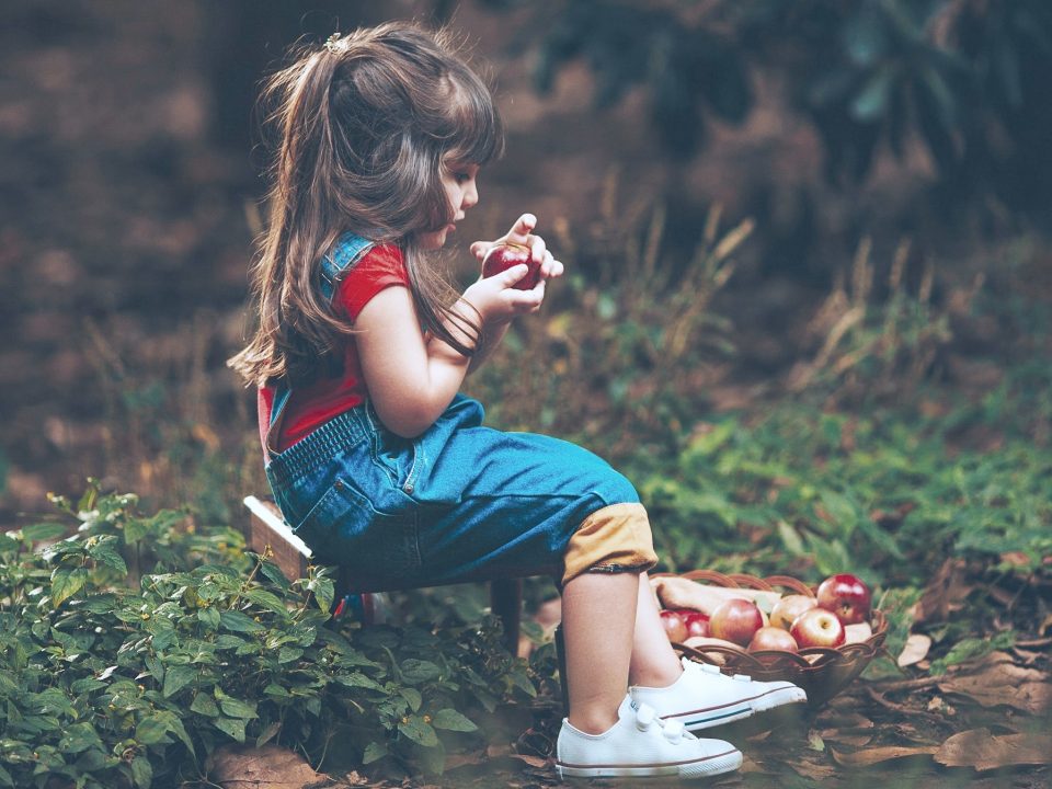 Las frutas aportan sabores, nutrientes y frescura a nuestro organismo