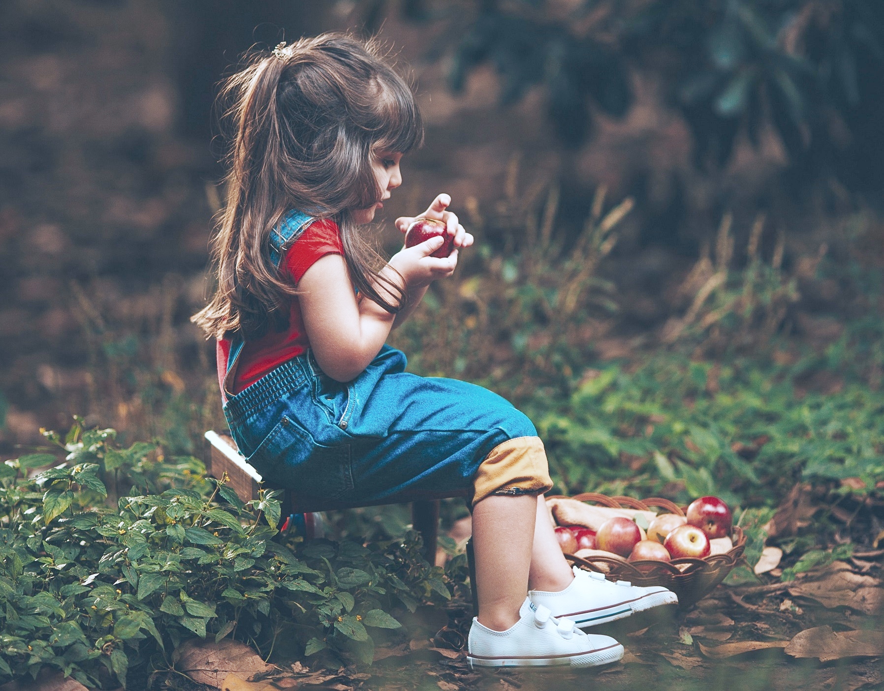 Las frutas aportan sabores, nutrientes y frescura a nuestro organismo