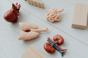 en Argentina más de 7 mil personas aguardan un trasplante para prolongar o mejorar su calidad de vida.